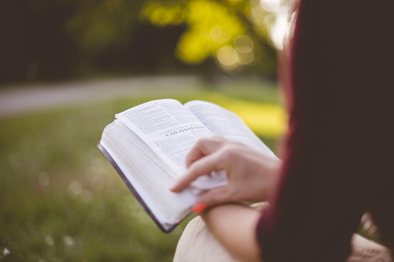 book, college, education, girl, literature, outdoors, paper, park, people, nature, relaxation, summer, woman, reading, study, student, brown book, brown books, brown education, brown paper, brown reading, brown relax, brown study, brown summer, brown park, brown studying on The Course Compass